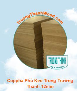 Ván coppha phủ keo - Ván ép Quốc Tế Trường Thành - Công Ty TNHH Kinh Doanh Quốc Tế Trường Thành